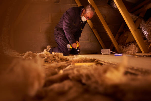 Best Insulation Installation Services in Crested Butte, CO