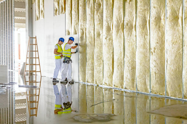 Best Types of Insulation in Crested Butte, CO